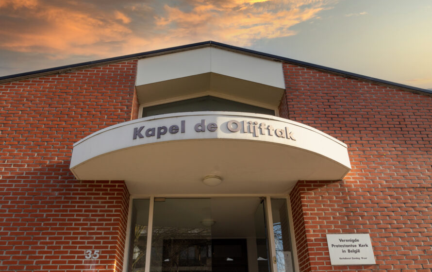 Olijftak Brasschaat