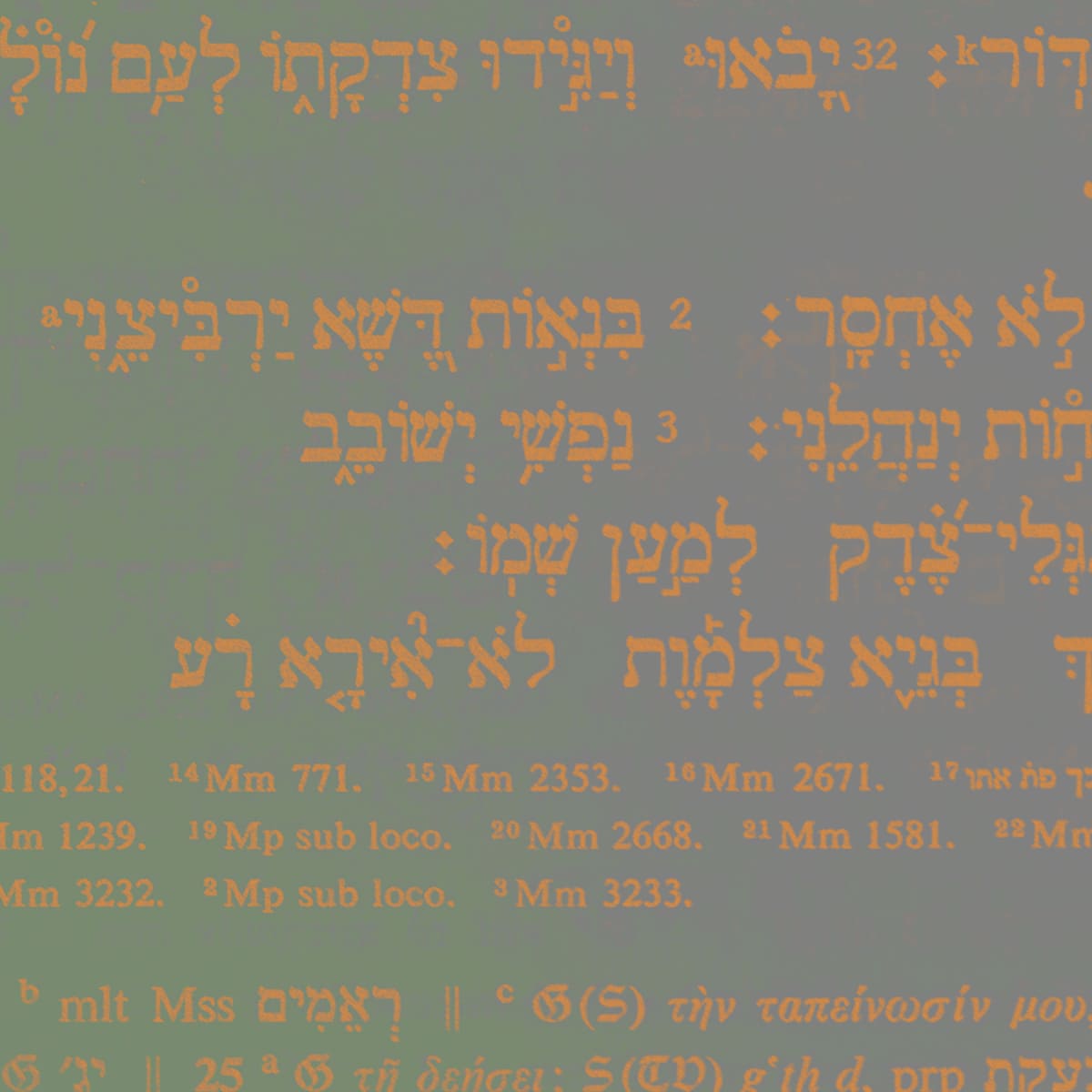 Olijftak-Brasschaat-Afbeelding-Leerhuis-Herbeeuws-01