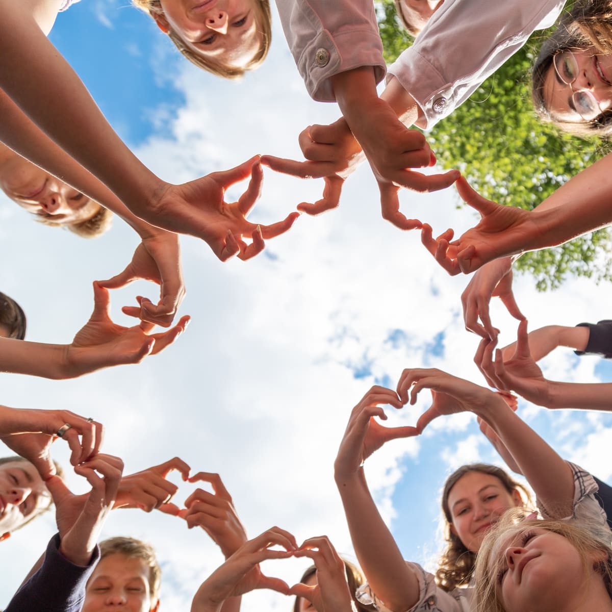 Olijftak-Brasschaat-Afbeelding-Olijftak-Rocks-01