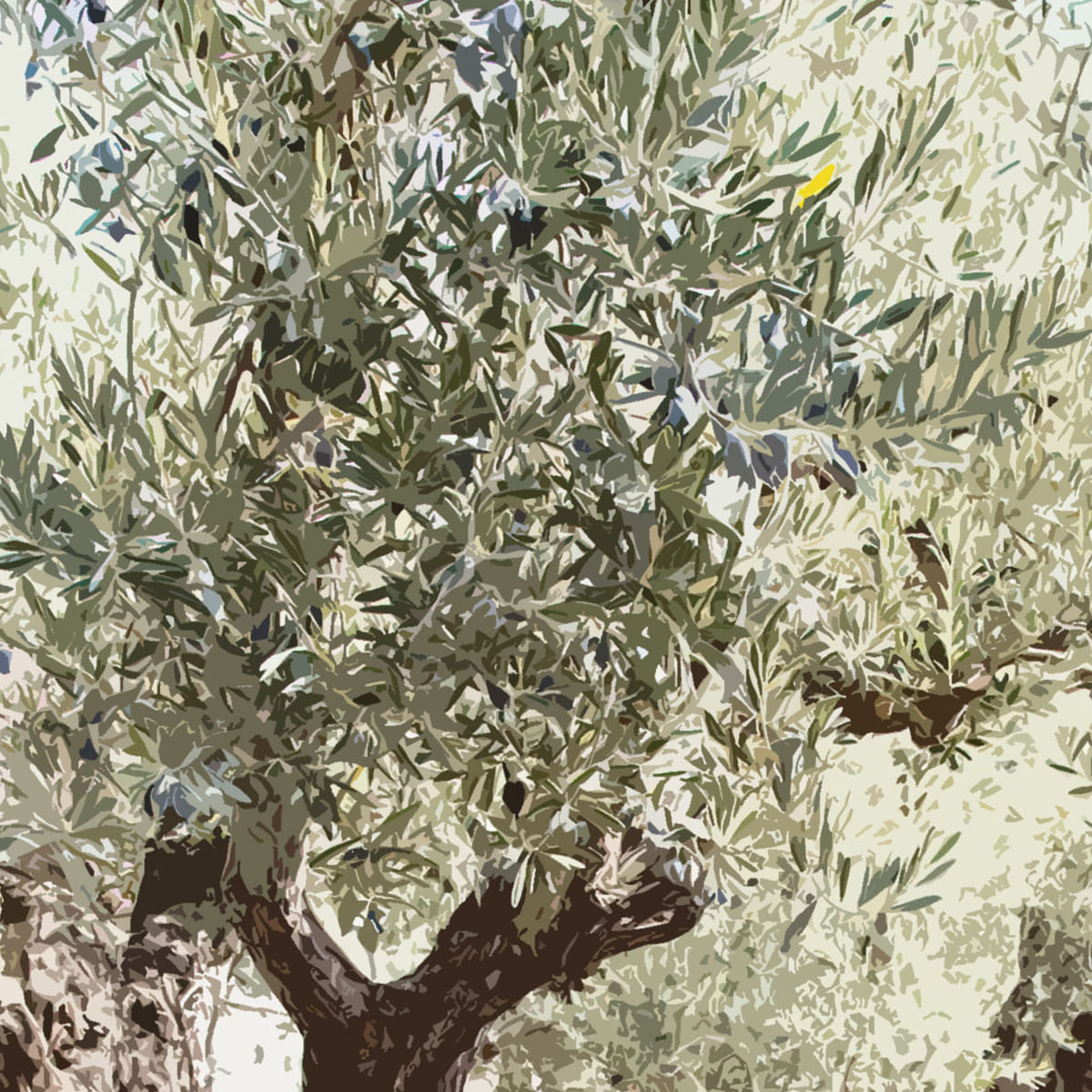 Olijftak-Brasschaat-Afbeelding-Samen-Zingen-01