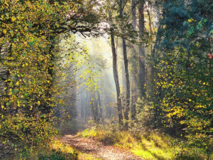 pasen_aankondiging2026_gr kopie (002)